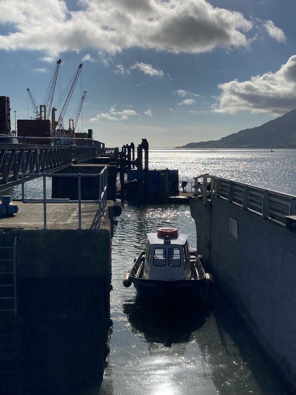 Warrenpoint - Dolphin Repair Works